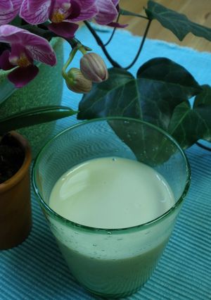 抹茶豆乳-レシピのメイン写真