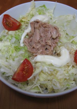 キャベツたっぷりサラダそうめん-レシピのメイン写真