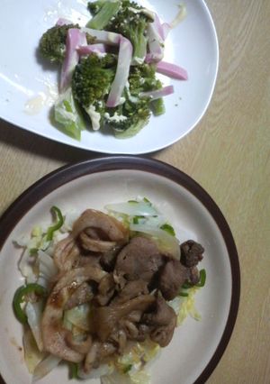 豚の甘辛生姜焼きとブロッコリー蒲鉾サラダ-レシピのメイン写真