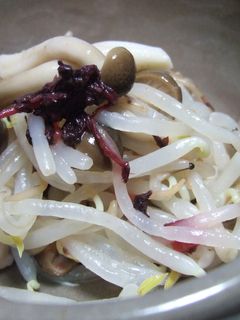 旨味UP♪♪もやしの梅和え-レシピのメイン写真