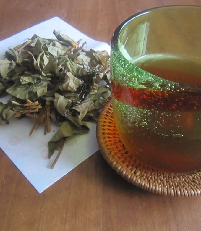 どくだみの花が咲いたら・・・どくだみ茶-レシピのメイン写真