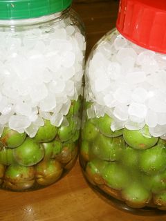 2年目!!梅シロップ-レシピのメイン写真