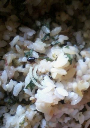 雑穀ｼｿ梅サッパリ飯-レシピのメイン写真
