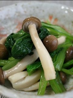 小松菜としめじの からし醤油あえ-レシピのメイン写真
