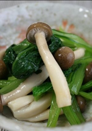 小松菜としめじの　からし醤油あえ-レシピのメイン写真