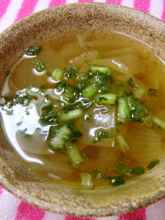 簡単♪節約?玉ねぎとねぎの味噌汁-レシピのメイン写真
