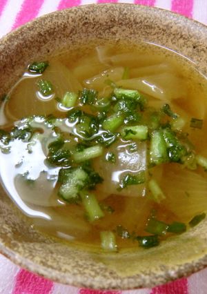 簡単♪節約？玉ねぎとねぎの味噌汁-レシピのメイン写真