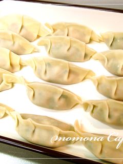 むね肉とたっぷり野菜のヘルシー餃子*-レシピのメイン写真