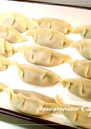 むね肉とたっぷり野菜のヘルシー餃子＊-レシピのメイン写真