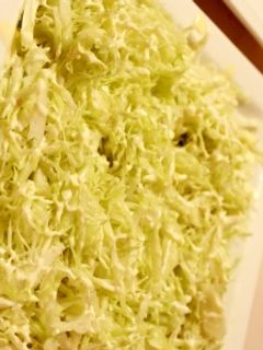 焼き肉屋さんのキャベツサラダ♪-レシピのメイン写真