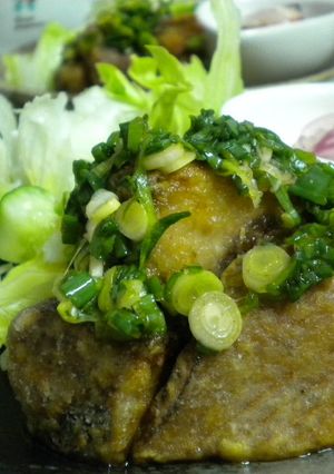 鰹の竜田揚げ(｡￫∀￩｡)すっぱ葱ソース-レシピのメイン写真