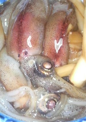 ほたるいか沖漬-レシピのメイン写真