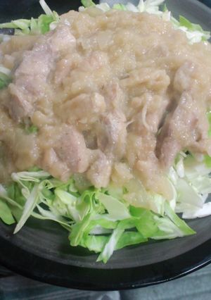 夏バテ防止！玉ねぎと鶏肉のさっぱり煮♪-レシピのメイン写真