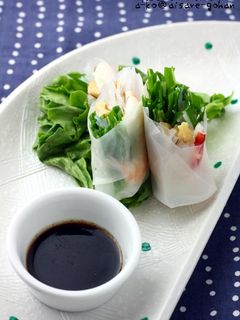 「簡単♪生春巻きのタレ*生姜醤油味」-レシピのメイン写真
