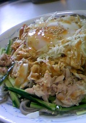 食物繊維たっぷり〜サラダ蕎麦-レシピのメイン写真