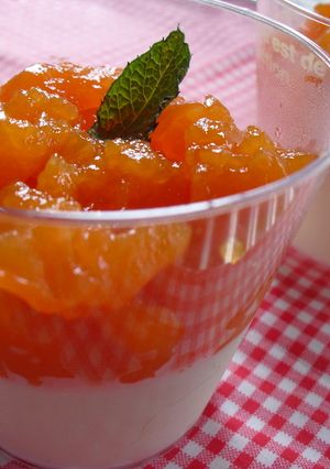 ヨーグルトムースと野菜クラッシュゼリー-レシピのメイン写真