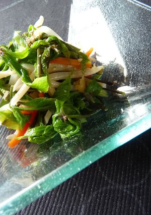 こしあぶらの中華風サラダ-レシピのメイン写真