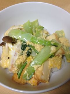 野菜と厚揚げの卵とじ-レシピのメイン写真