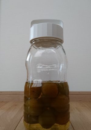 子供もＯＫ梅シロップ♪-レシピのメイン写真