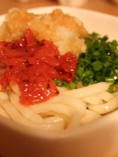 簡単さっぱり梅のおろし冷うどん-レシピのメイン写真