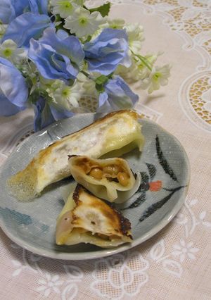納豆チーズ餃子～餃子の皮が余ったら変わり餃子-レシピのメイン写真