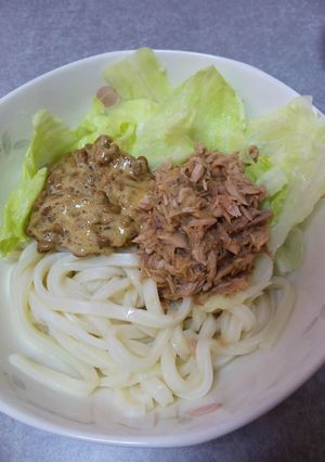 ネバネバうどん-レシピのメイン写真