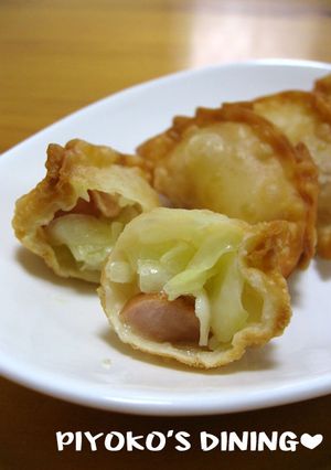 余った皮で❀キャベツとウインナーの餃子-レシピのメイン写真