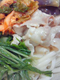 豚しゃぶの冷やしうどん♪-レシピのメイン写真