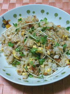 “お魚チャーハン”で鉄分補給!-レシピのメイン写真