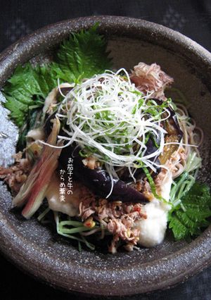 【茄子と牛のからめ蕎麦】薬味好きさんへ♪-レシピのメイン写真