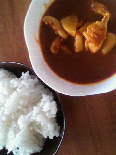 簡単ハヤシカレーライス-レシピのメイン写真