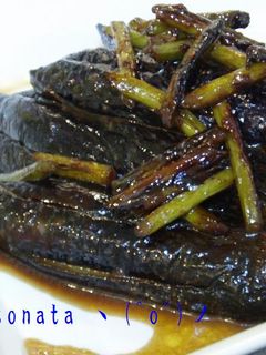 なすが焼肉のたれでおいしいヽ(^o^)丿-レシピのメイン写真