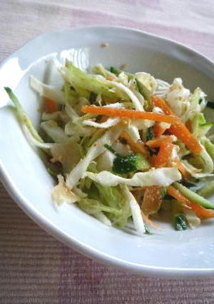 千切り野菜の和風ごまサラダ-レシピのメイン写真
