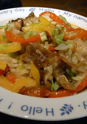 とろ～り野菜炒め-レシピのメイン写真