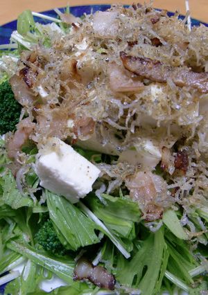 かりかりじゃこの豆腐と水菜のサラダ-レシピのメイン写真