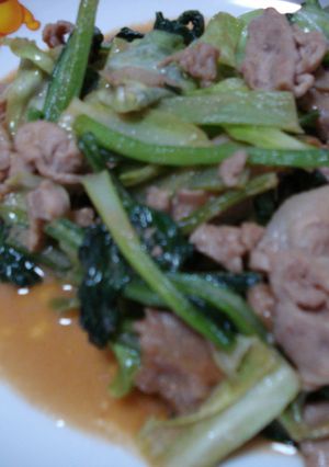 味噌豚キャベ菜-レシピのメイン写真