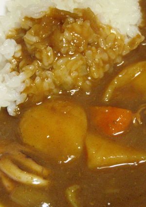 肝入り♪濃厚♪烏賊カレー♪-レシピのメイン写真
