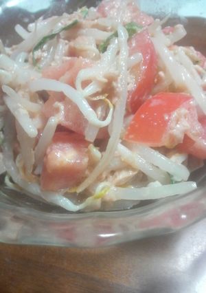 もやしとトマトのツナ合えサラダ-レシピのメイン写真