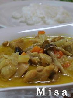 チキンカレーココナツ煮込み-レシピのメイン写真