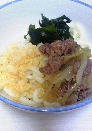 ほんだしで簡単冷やし肉うどん-レシピのメイン写真