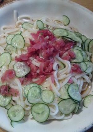 夏バテに！サッパリ梅うどん-レシピのメイン写真