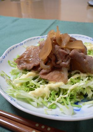 酢っきり♫豚の生姜焼き♫つゆだくで✿-レシピのメイン写真