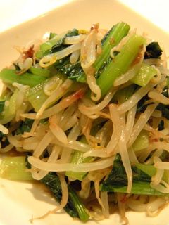 ほうれん草ともやしの和え物-レシピのメイン写真