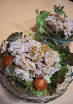 夏本番!我が家の美味しいぶたしゃぶサラダ-レシピのメイン写真