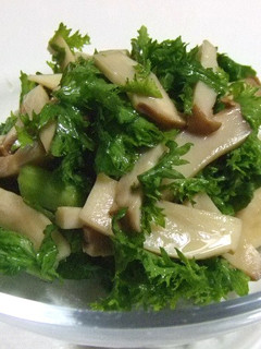 ワサビ菜のおひたし-レシピのメイン写真