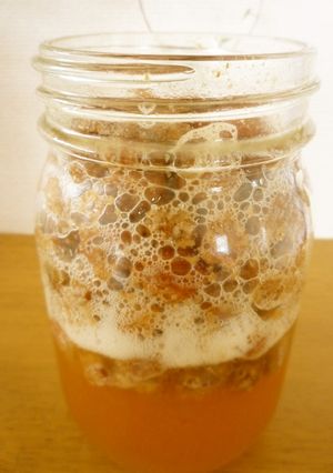 レーズン酵母の作り方✿６月・関東にて✿-レシピのメイン写真