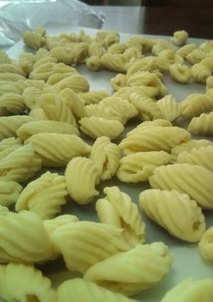 簡単☆手作りシェル型パスタ！-レシピのメイン写真