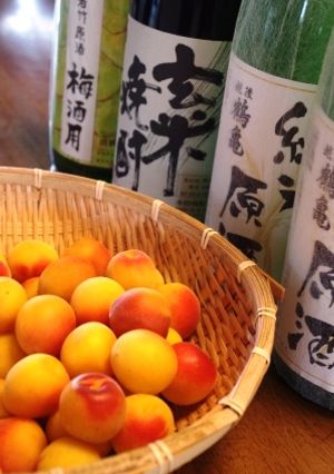 結局こうなった　私の甘くない梅酒-レシピのメイン写真
