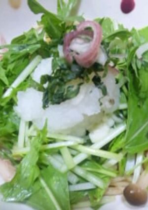 ぶっかけ和風冷やしパスタ-レシピのメイン写真