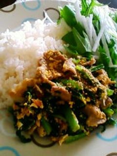 小松菜と豚肉の炒め物-レシピのメイン写真
